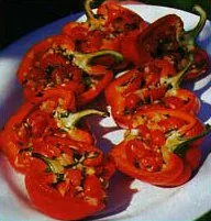 Poivrons farcis au quinoa & légumes